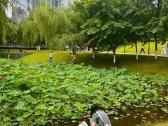-沐仙湖湿地公园