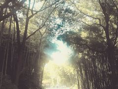 -苏州河梦清园环保主题公园