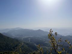 -武陵山森林公园