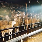 非常喜欢的摄影主题