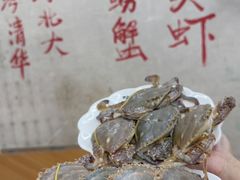 -胡同海鲜·大螃蟹