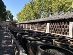 -鄞州雪菜博物馆