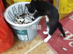 -聪辉同安老美食饭店(大元路店)