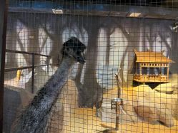 -酷嗒动物文化乐园(cutezoo西溪乐天城店)