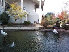 -广富林宰相府酒店·水云间