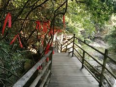 -梁野山景区