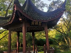-上海方塔园