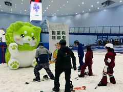 -广州热雪奇迹