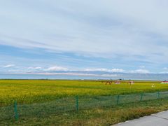 -青海湖国家重点风景名胜区