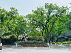 -山东大学(趵突泉校区)