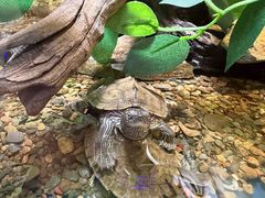 -大连圣亚海洋世界