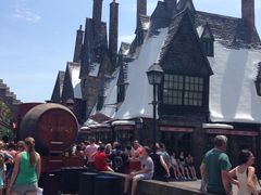 -奥兰多迪士尼动物王国乐园