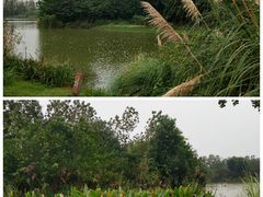 -白鹭湾湿地公园