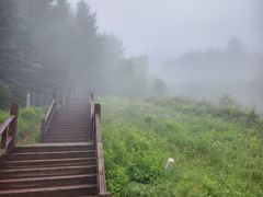 -驼梁风景区