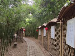 -同里国家湿地公园