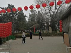 -双榆树公园