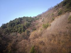 -照金红色旅游名镇