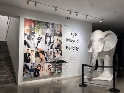 -大象映画旗舰店