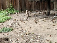-上海野生动物园