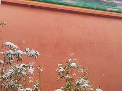 -故宫冰窖餐厅