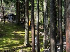 -玉苍山国家森林公园