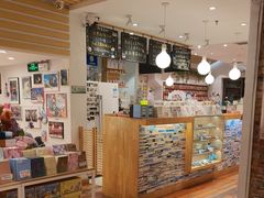 -猫的天空之城概念书店(景德镇陶溪川店)