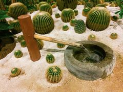 -春满园生态餐厅(南宫路店)