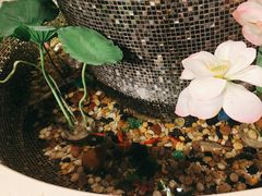 -顺意·顺德家乡菜(国际人才大厦店)