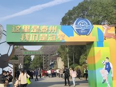 -溱湖国家湿地公园