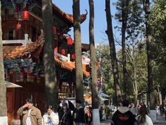 -翠湖公园