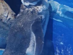 -青岛海底世界-水族馆