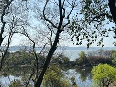 -上海市保健医疗中心