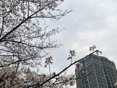 -光启城时尚购物中心