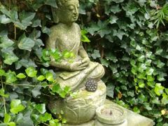 android_upload_pic-留荫庐旅馆