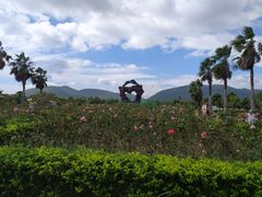 -亚龙湾国际玫瑰谷