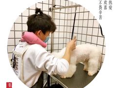 -熊小胖宠物生活馆(天华园店)