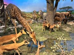 -国家自然博物馆