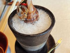 茅台酒渍海螺-黔香阁·味(花木店)