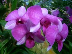 -洛阳周王城天子驾六博物馆