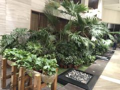 -久宴·天目湖大鱼头(恐龙园店)