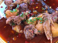 -青城甲(青城山店)