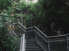 -佛山华盖山公园