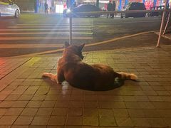 -旺富东海大酒楼(海鲜街店)