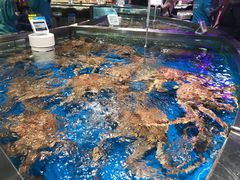 -盒马鲜生(杭州运河上街店)