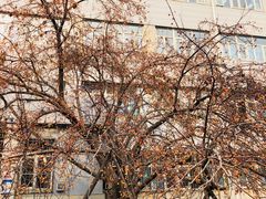 -北京联合大学(北四环校区)