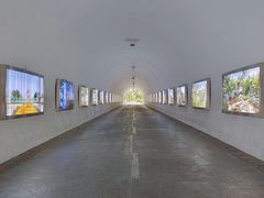 -深圳国际园林花卉博览园