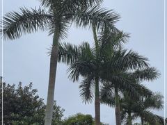 -广州市白云山风景名胜区