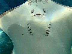 -福州罗源湾海洋世界旅游区