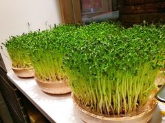 -千稻剁椒大鱼头(CityOn熙地港店)