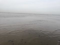 -仙人岛